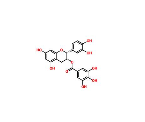 表兒茶素沒(méi)食子酸酯|1257-08-5 (-)-Epicatechin gallate