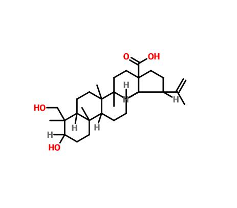 23-羥基白樺酸|85999-40-2