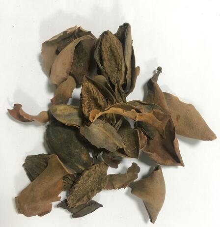 厚樸 MAGNOLIAE OFFICINALIS CORTEX